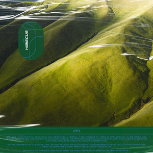 女人高潮一级A片一区二区
