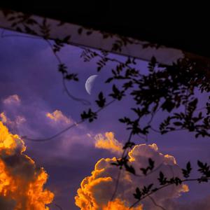 女人高潮一级A片一区二区
