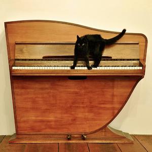 女人高潮一级A片一区二区
