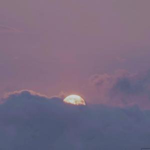 女人高潮一级A片一区二区
